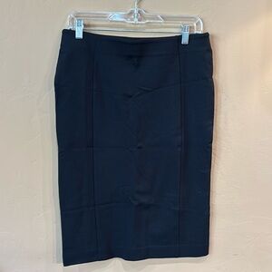 NWT ANN TAYLOR Skirt